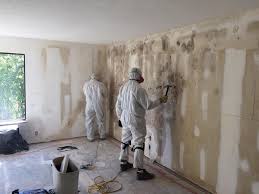 Best Biohazard Mold Removal  in Hot Springs Village, AR